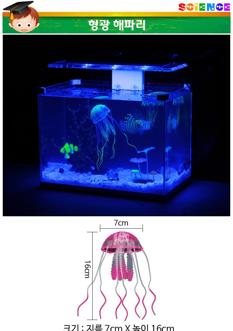 향앤미과학 형광 해파리/만들기/만들기재료/학습재료/학습도구/만들기준비물/교구/과학교구/학습교구/만들