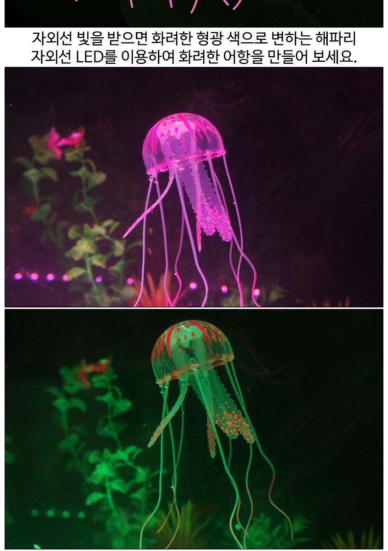 향앤미과학 형광 해파리/만들기/만들기재료/학습재료/학습도구/만들기준비물/교구/과학교구/학습교구/만들