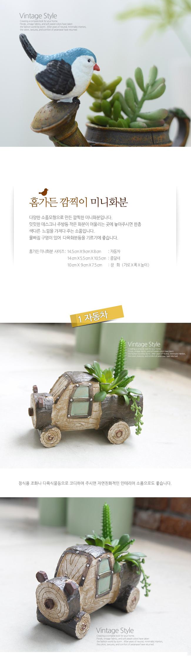 홈가든 내추럴 미니화분(종달새)/집들이선물/선물용화분/미니화분/소형화분/장식화분/인테리어화분/조경화
