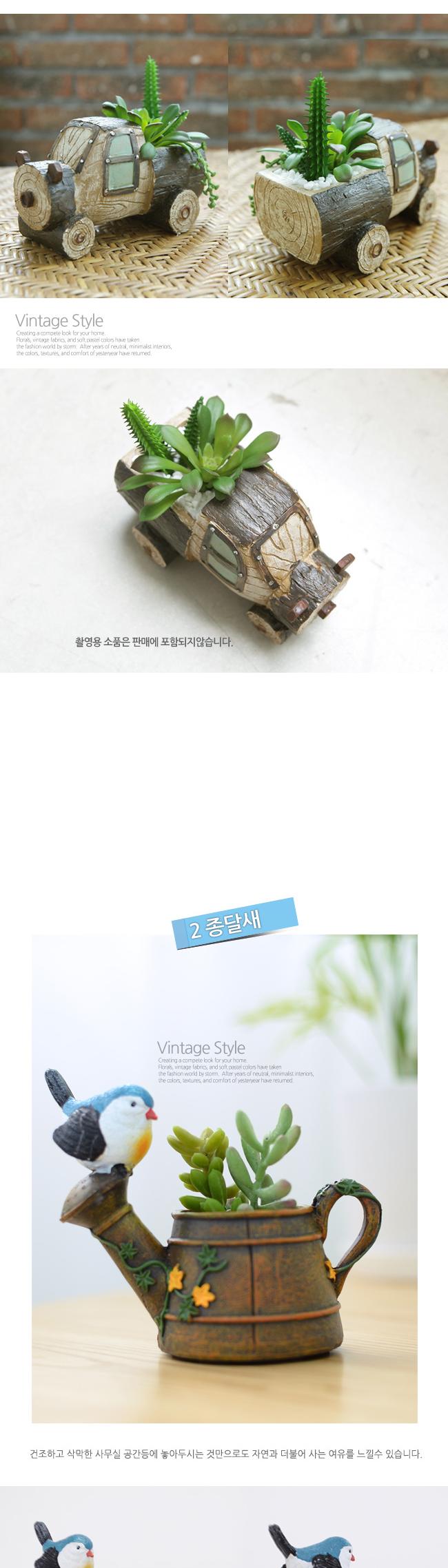 홈가든 내추럴 미니화분(종달새)/집들이선물/선물용화분/미니화분/소형화분/장식화분/인테리어화분/조경화