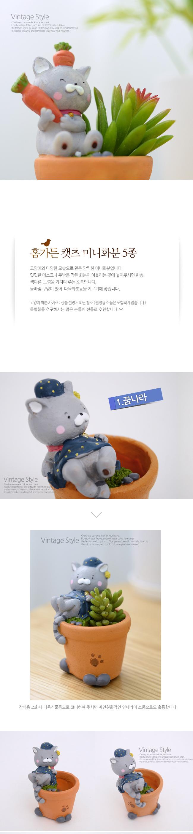 홈가든 귀염둥이 고양이 미니화분(물고기)/집들이선물/선물용화분/미니화분/소형화분/장식화분/인테리어화