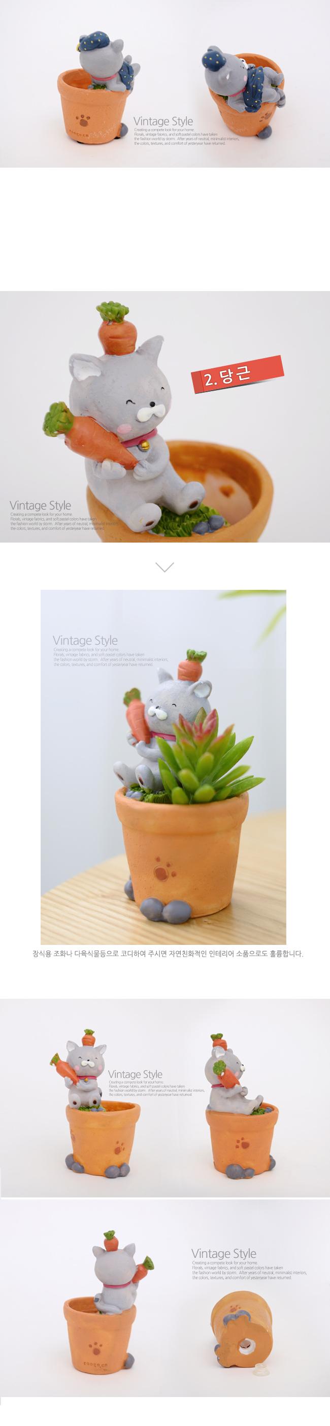 홈가든 귀염둥이 고양이 미니화분(물고기)/집들이선물/선물용화분/미니화분/소형화분/장식화분/인테리어화