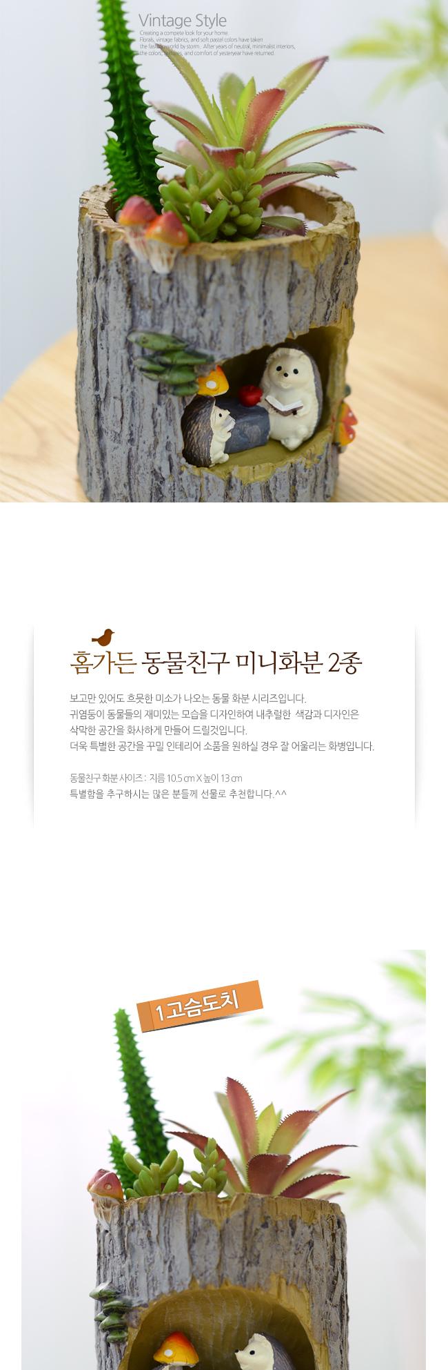 홈가든 동물친구 미니화분(토끼)/화분/장식용화분/인테리어화분/미니화분/꽃화분/식물화분/조경화분/원예화