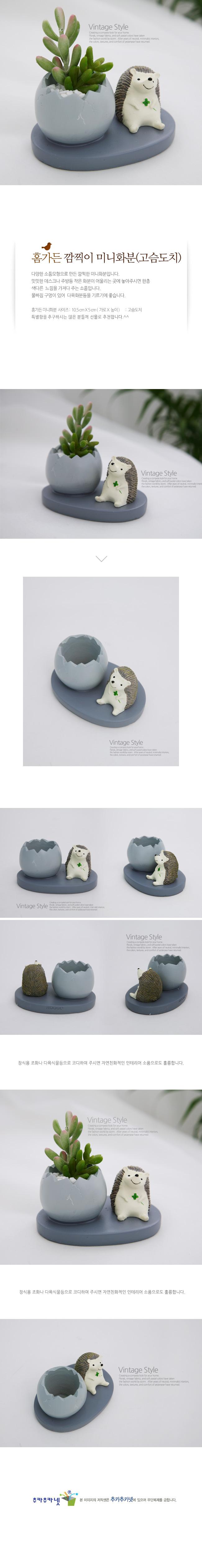 홈가든 깜찍이 미니화분(고슴도치)/화분/장식용화분/인테리어화분/미니화분/꽃화분/식물화분/조경화분/원예
