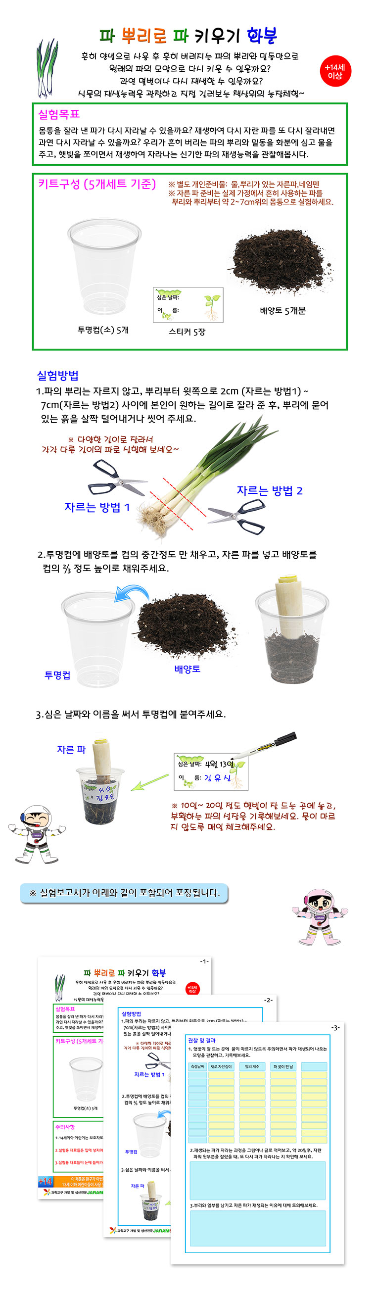 파 뿌리로 파 키우기 화분(5개세트)/재배하기/재배완구/재배학습/재배공부/파키우기/파재배/파재배하기/학