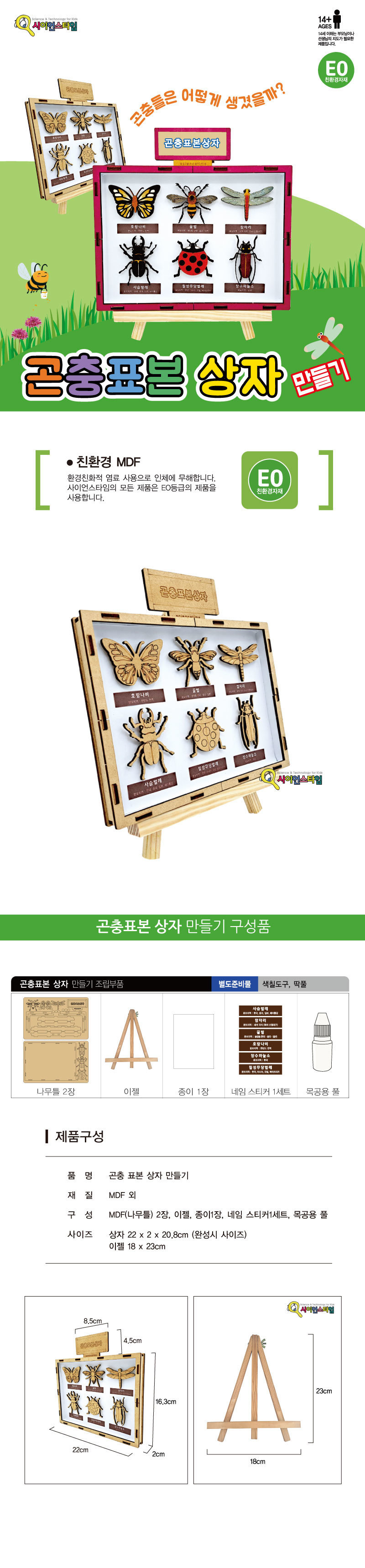 곤충 표본 상자 만들기학습용 브로마이드 제공/곤충학습교구/곤충표본상자키트/곤충표본박스키트/곤충표본