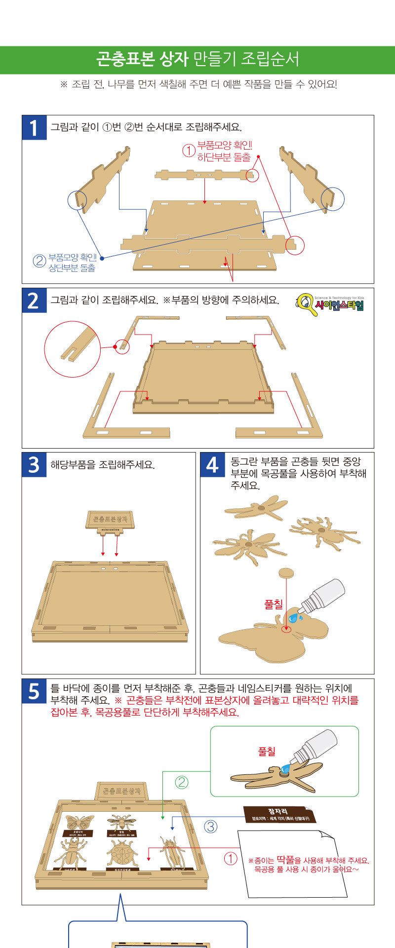 곤충 표본 상자 만들기학습용 브로마이드 제공/곤충학습교구/곤충표본상자키트/곤충표본박스키트/곤충표본