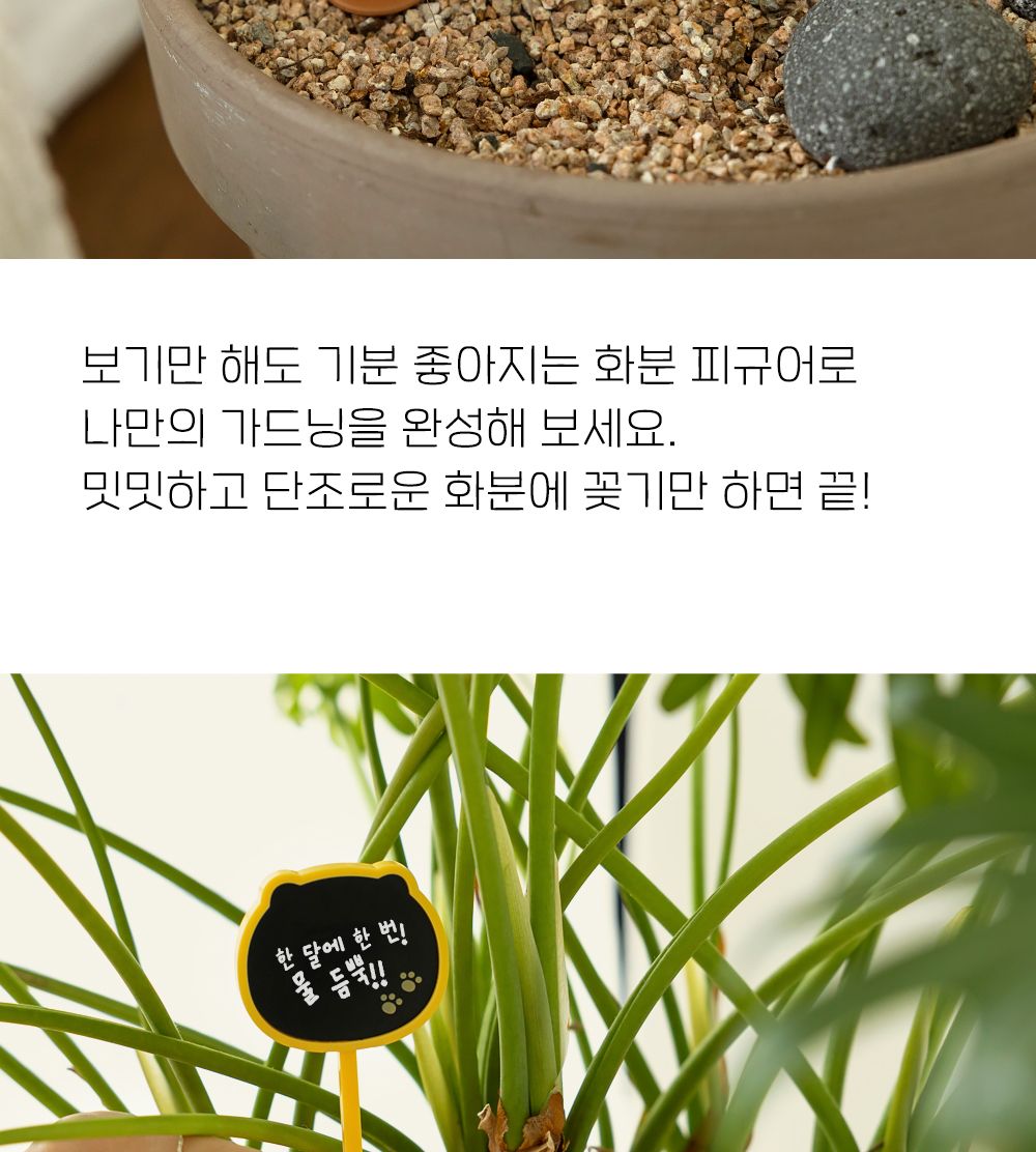 카카오프렌즈 춘식이 화분 피규어 세트/식물이름표/식물네임텍/식물네임택/네임택피규어세트/네임텍피규어