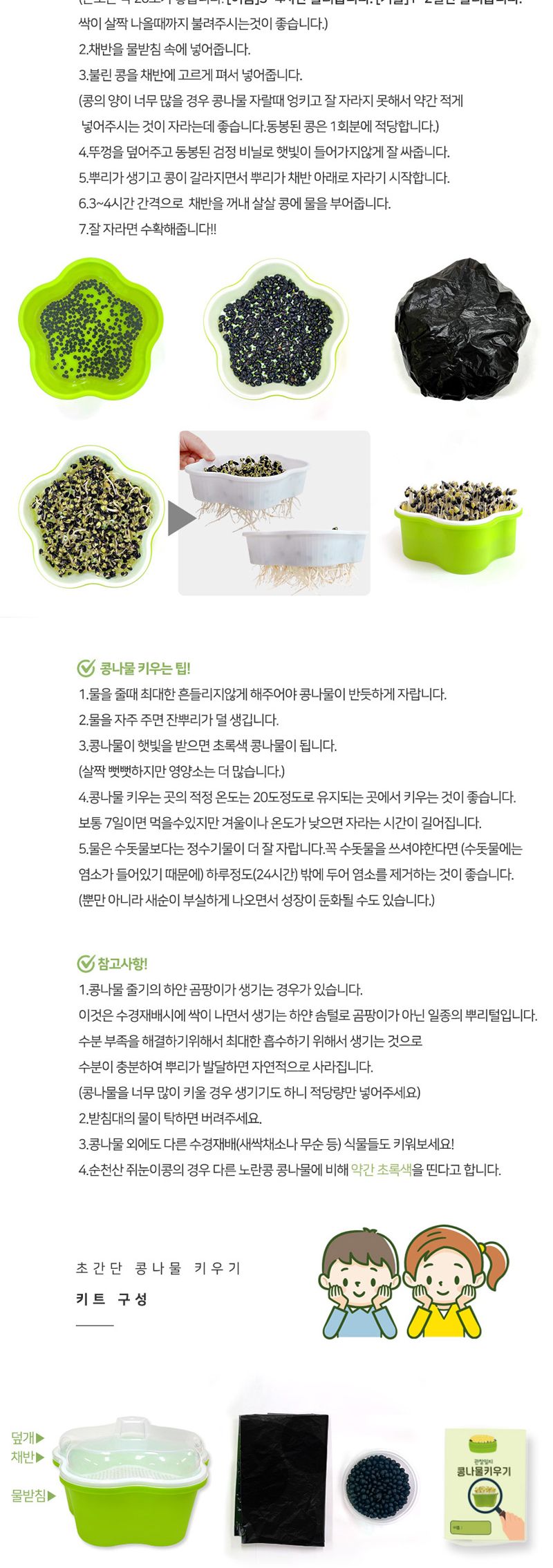 초간단 콩나물 키우기/콩나물/콩나물재배/콩나물키우기/콩나물키트/체험학습/관찰학습/식물키우기/식물재배