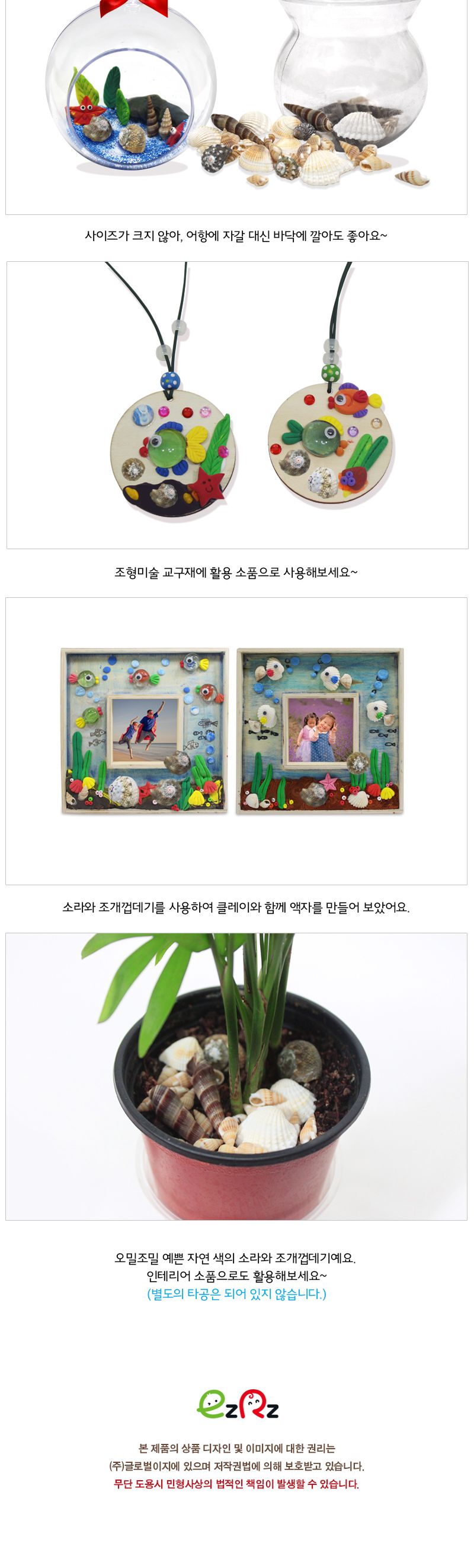 조개껍질 세트_5종/모형조개/조개껍질세트/공작용조개/공예용조개/만들기용조개/미술교구/미술재료/만들기