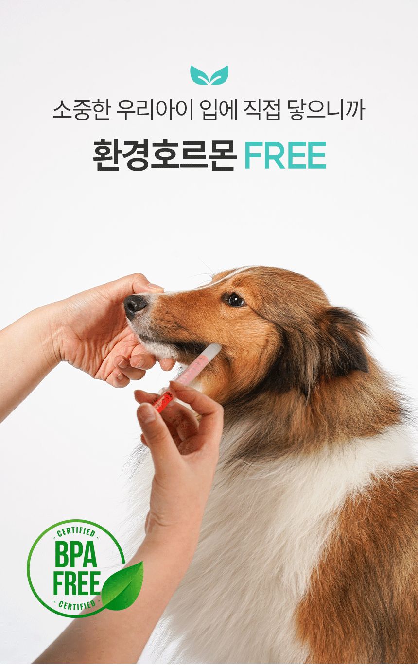 아이팡 경구 투약 보조기 1BOX 5개입/영양제투약기/강아지영양제투약기/애견영양제투약기/반려견영양제투약