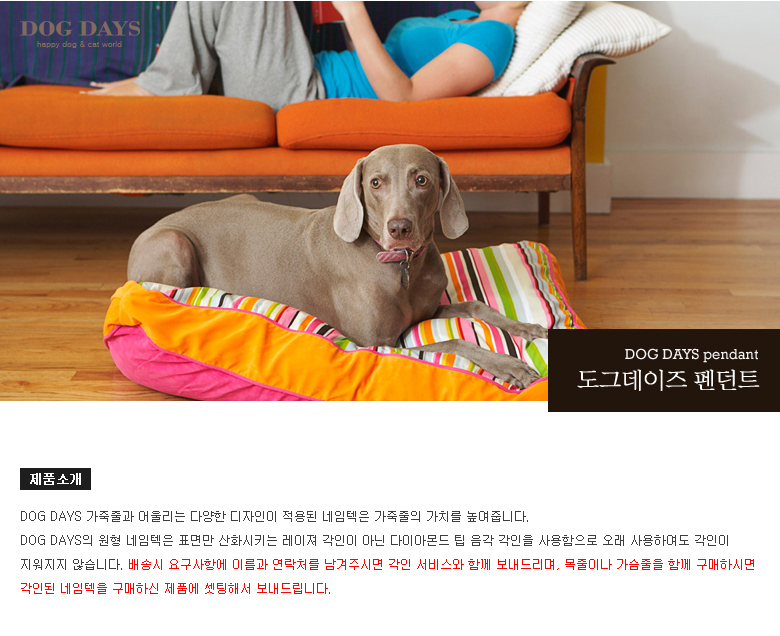 (DOGDAYS)프리미엄 가죽 목줄 엘로우 (XS.S.M.L)/목줄/반려견용/강아지용/개목걸이/개목줄/수공예가죽줄/강