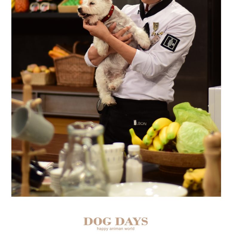 (DOGDAYS)프리미엄 가죽 목줄 엘로우 (XS.S.M.L)/목줄/반려견용/강아지용/개목걸이/개목줄/수공예가죽줄/강
