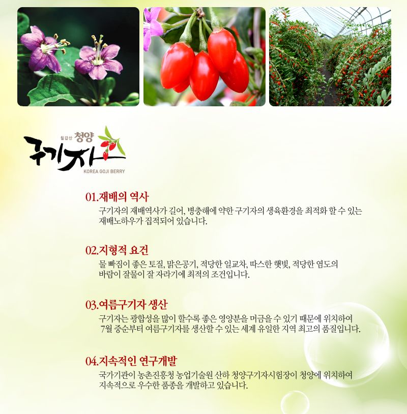 구기자 티백차 대/티백차/구기자차/구기자티/구기자/구기자티백차/구기자티백/티백형구기자차/티백형구기자