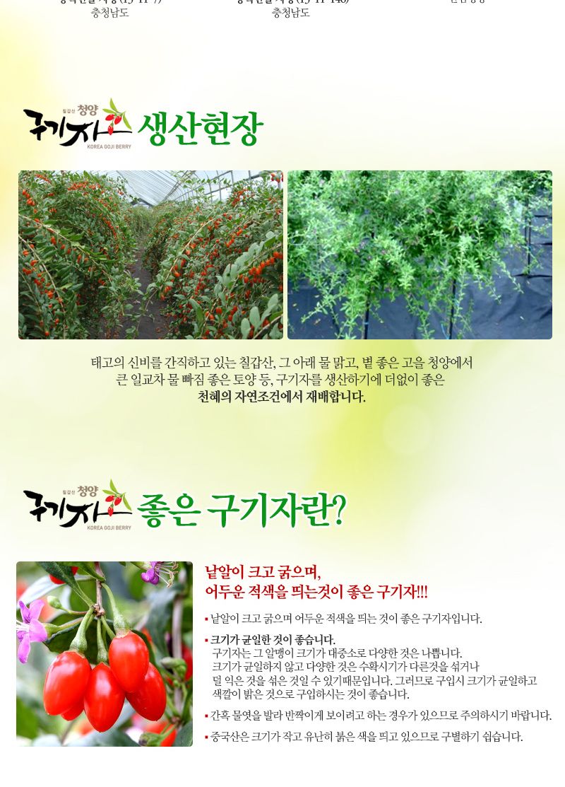 구기자 티백차 대/티백차/구기자차/구기자티/구기자/구기자티백차/구기자티백/티백형구기자차/티백형구기자