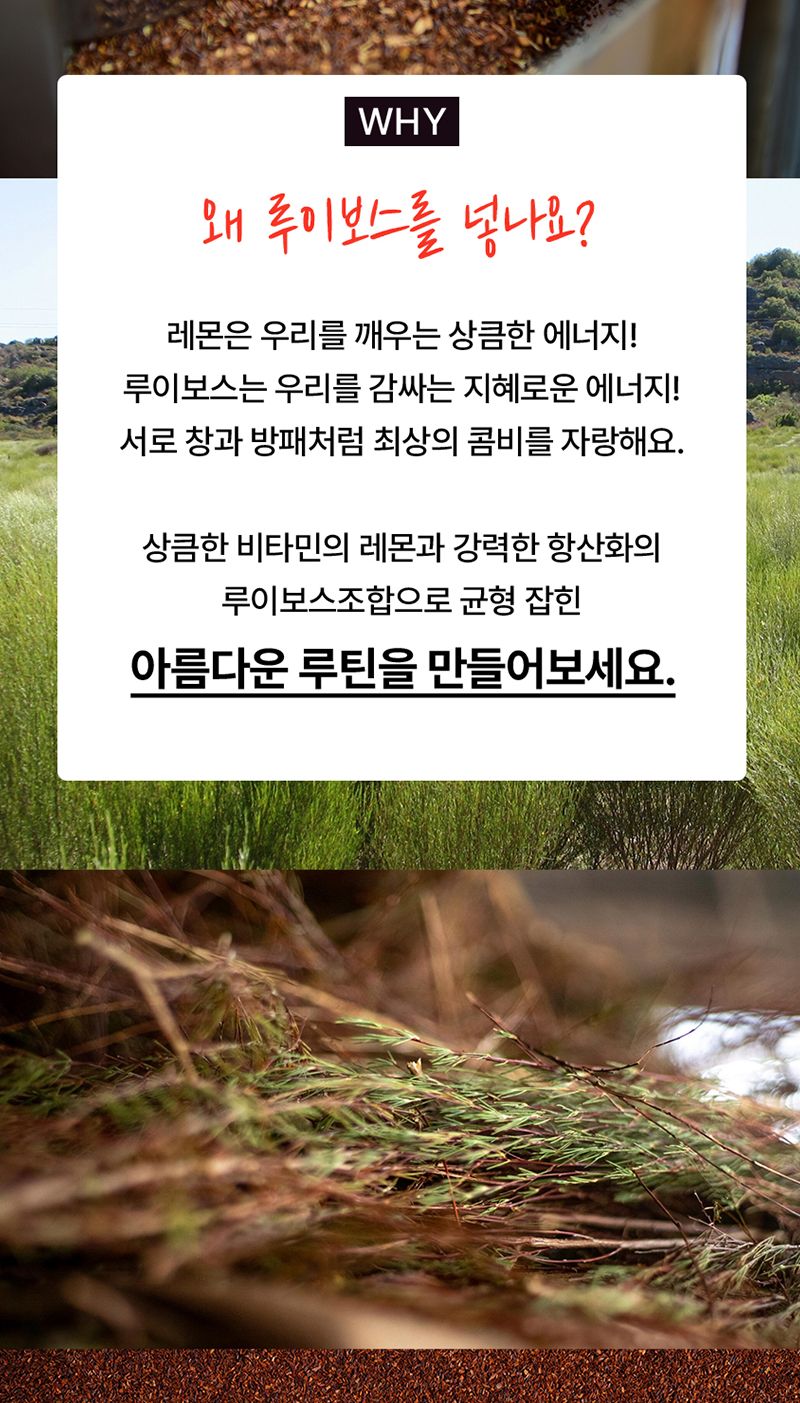 자연우리 찬물 가능 레몬 루이보스티 16개입/레몬루이보스티/레몬루이보스차/루이보스티/루이보스차/루이보
