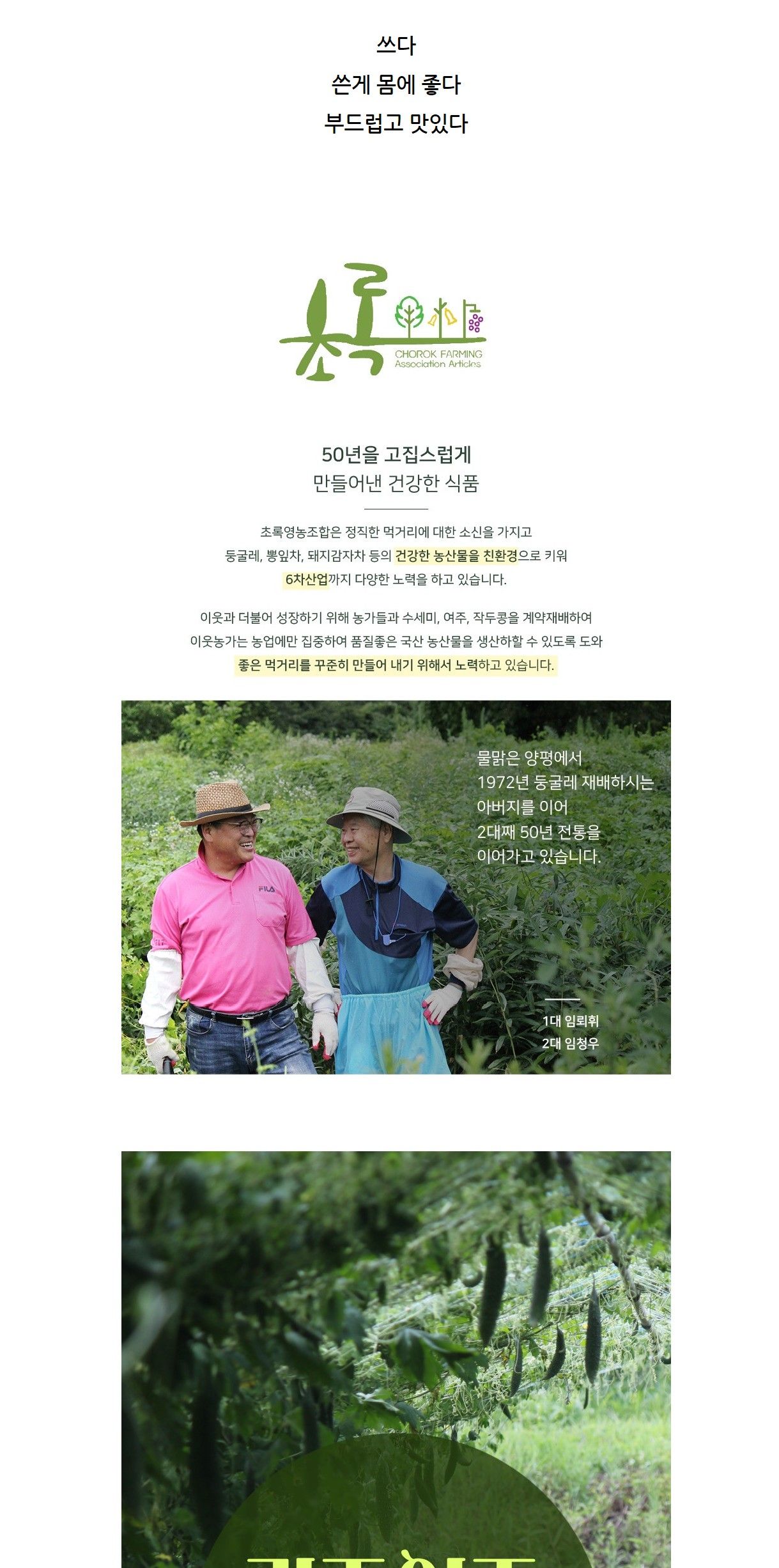 여주티/여주음료/음료/말린여주차/여주/말린여주/여주차/차음료/차/건조여주