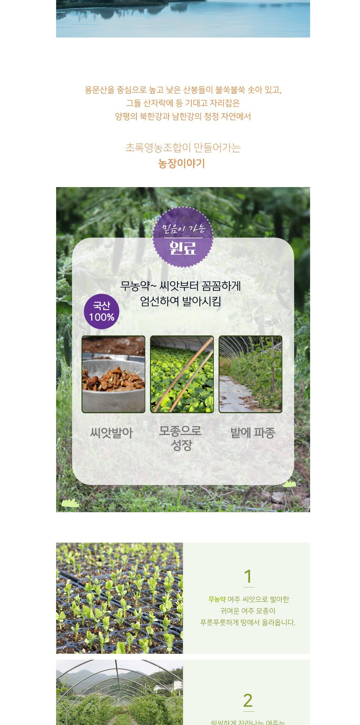 여주티/여주음료/음료/말린여주차/여주/말린여주/여주차/차음료/차/건조여주