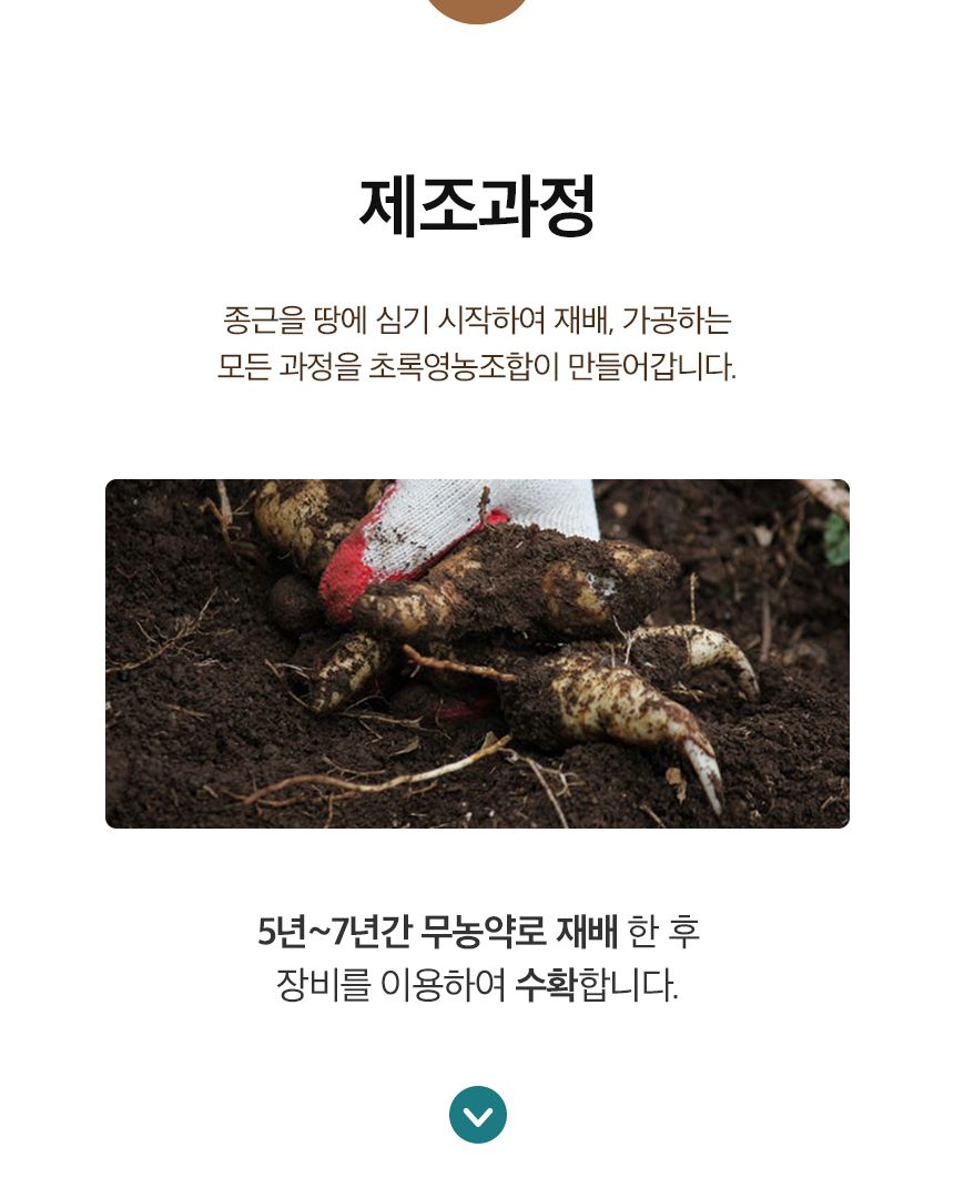 차티백/음료/둥굴레티/둥굴레음료/차음료/둥굴레차티백/티백차/둥굴레/차/둥굴레차