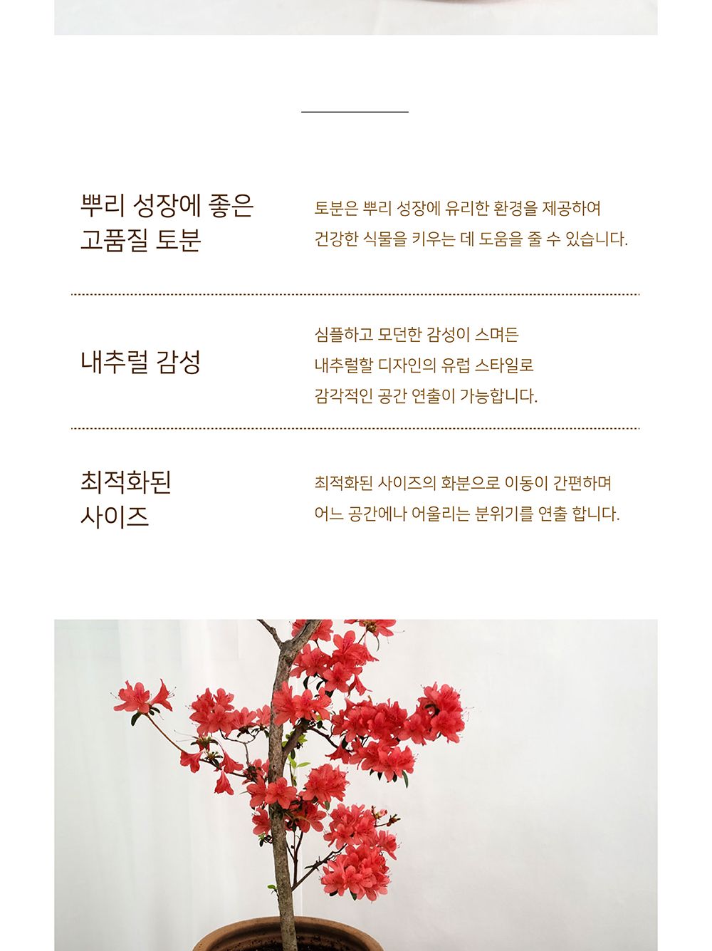 기본형 엔틱 토분 3개 1세트/화분/토분/인테리어/인테리어화분/인테리어토분/분갈이/분갈이화분/수입화분/