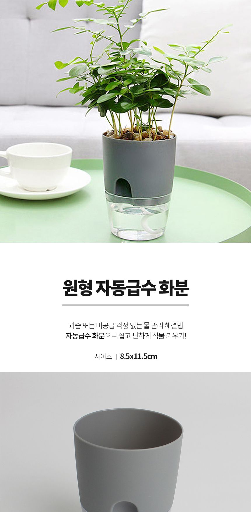 저면관수 미니 화분 1개/화분/플라스틱화분/미니화분/원예용화분/가정용화분/급수화분/급수용화분/저면관수