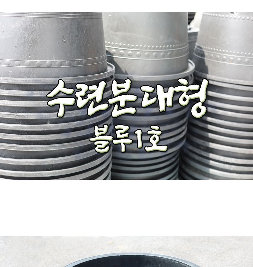블루수련분대형 1호 수생식물기르기 수련분갈이/수생식물용화분/수련화분/수련분갈이화분/수련분/블루수련