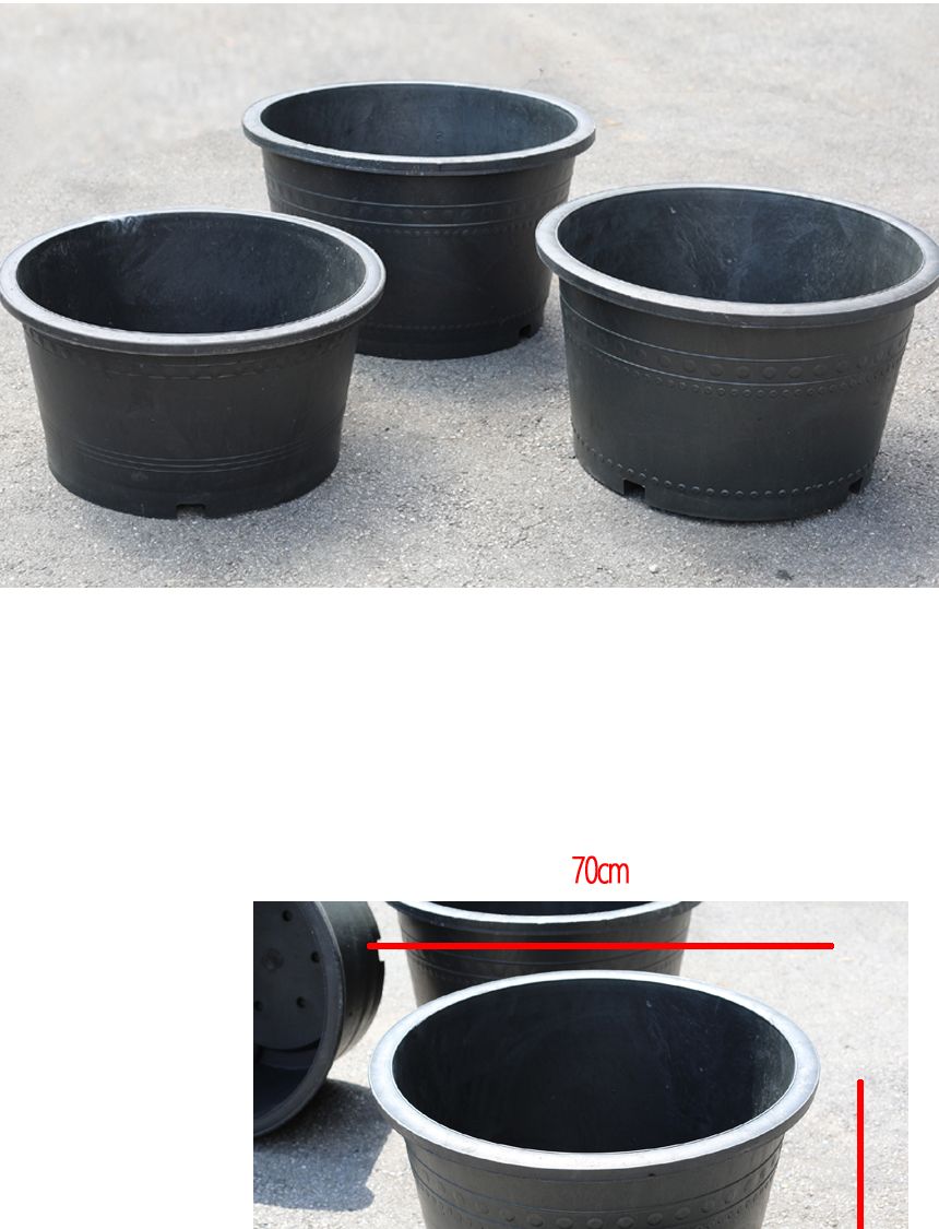 블루수련분대형 3호 수생식물기르기 수련분갈이/수생식물용화분/수련화분/수련분갈이화분/수련분/블루수련