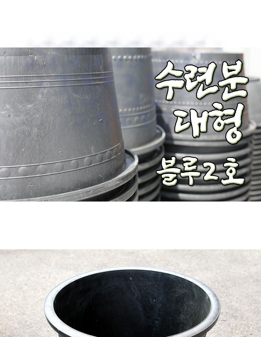 블루 수련 분대형 2호/장식화분/디자인화분/실내화분/수련분화분/식물화분/화분/인테리어화분/소품화분/정