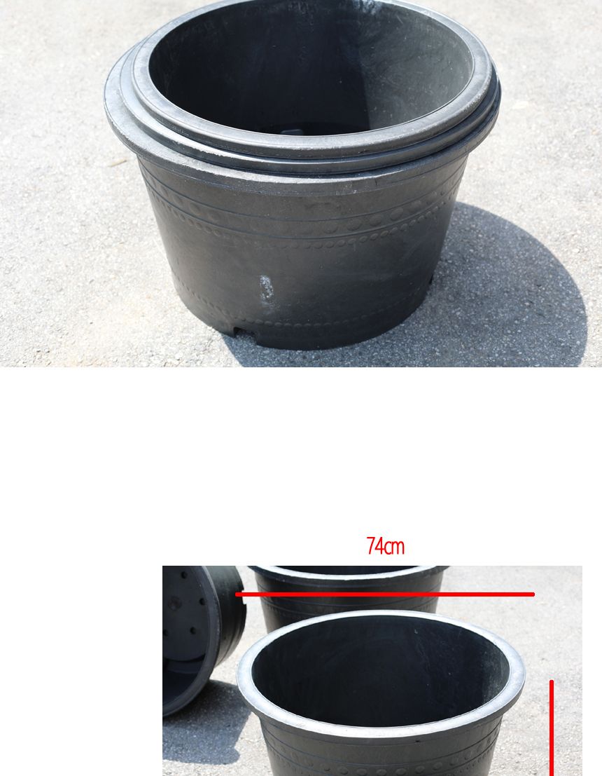 블루 수련 분대형 2호/장식화분/디자인화분/실내화분/수련분화분/식물화분/화분/인테리어화분/소품화분/정