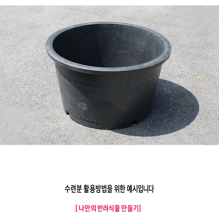 블루 수련 분대형 2호/장식화분/디자인화분/실내화분/수련분화분/식물화분/화분/인테리어화분/소품화분/정