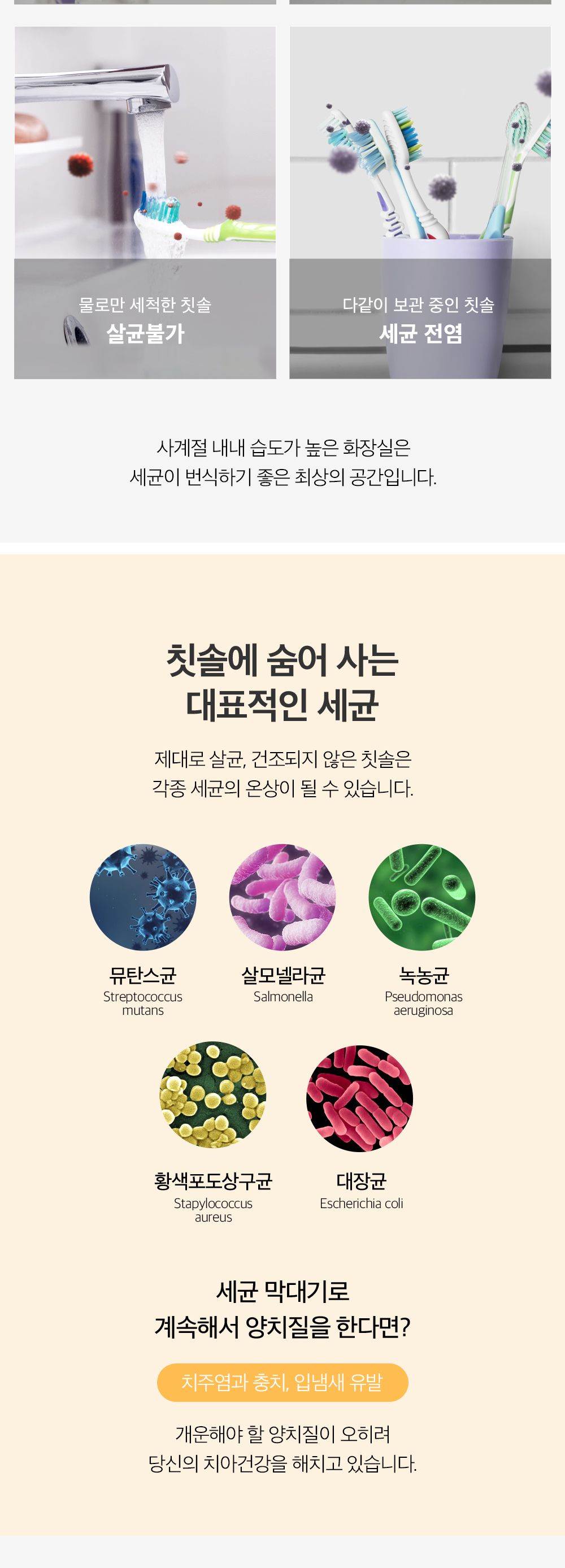 버뮤다랩 UVC 무선 칫솔 살균기/칫솔살균기/칫솔관리기/칫솔관리/UV관리기/UV칫솔관리기/UV자외선관리기/UV