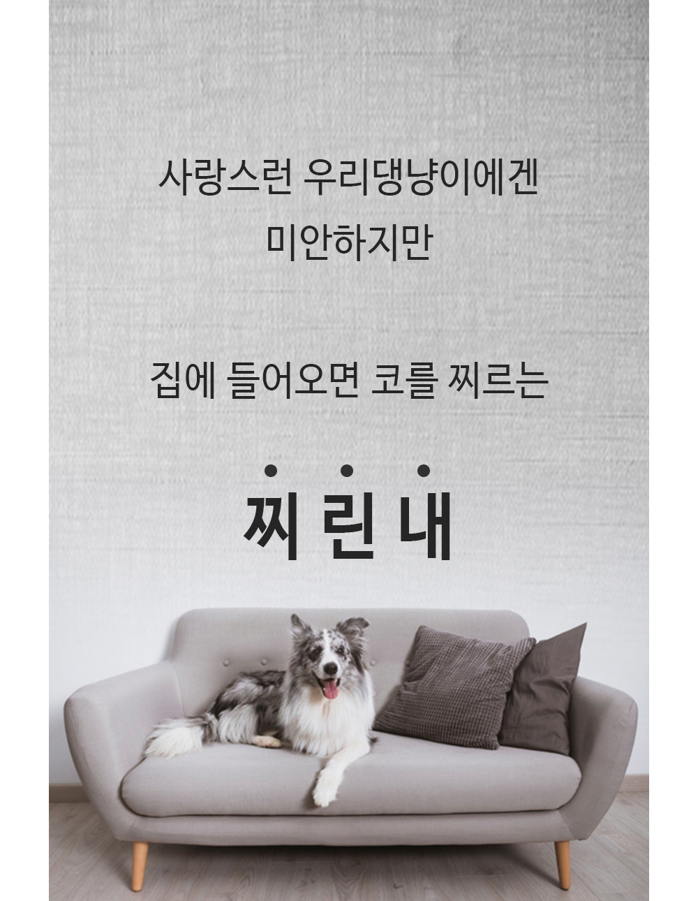 (MC LAB) 반려동물 배변용 탈취제 (쉬야킁킁제로)/배변탈취제/냄새제거제/반려견탈취제/강아지탈취제/강아