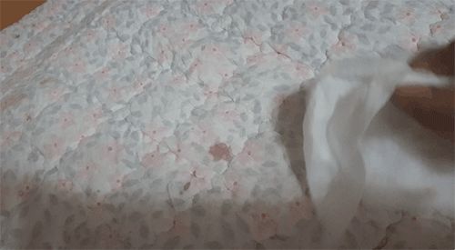 (MC LAB) 반려동물 배변용 탈취제 (쉬야킁킁제로)/배변탈취제/냄새제거제/반려견탈취제/강아지탈취제/강아
