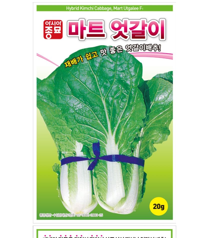아시아 미니 배추 마트 엇갈이 씨앗 20g/엇갈이/엇갈이씨앗/씨앗키우기/씨앗재배/원예씨앗/식물키우기/씨앗