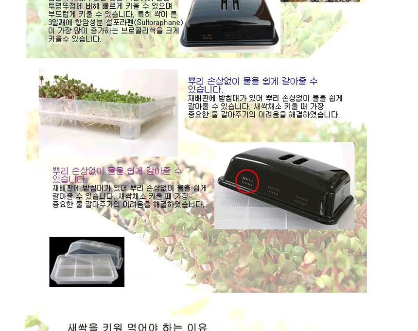 새싹 재배 용기/새싹재배용기/새싹/새싹키우기/새싹재배기/새싹재배/재배기/씨앗키우기/씨앗재배/원예/식물