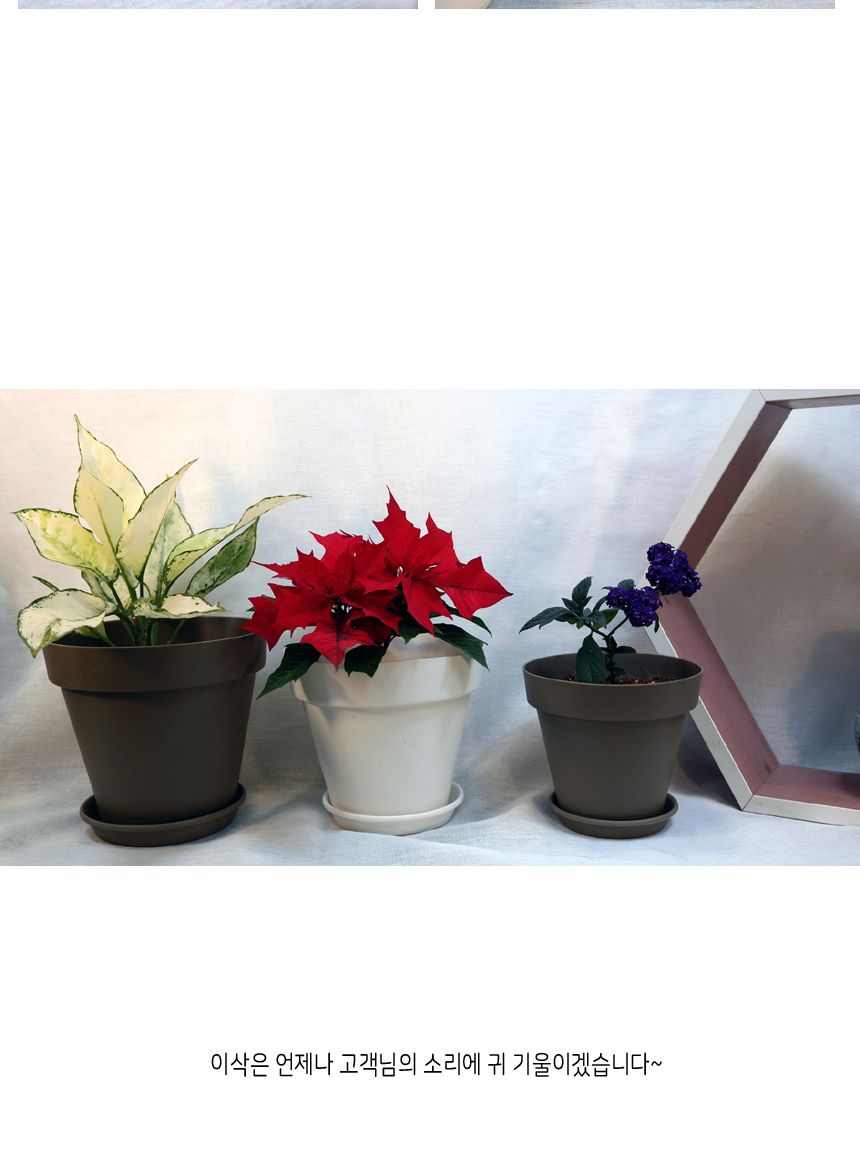 아트화분 화분받침세트 02호(1+1+1) 편리한 디지인/화분/인테리어화분/심플화분/분갈이/분갈이화분/물빠짐