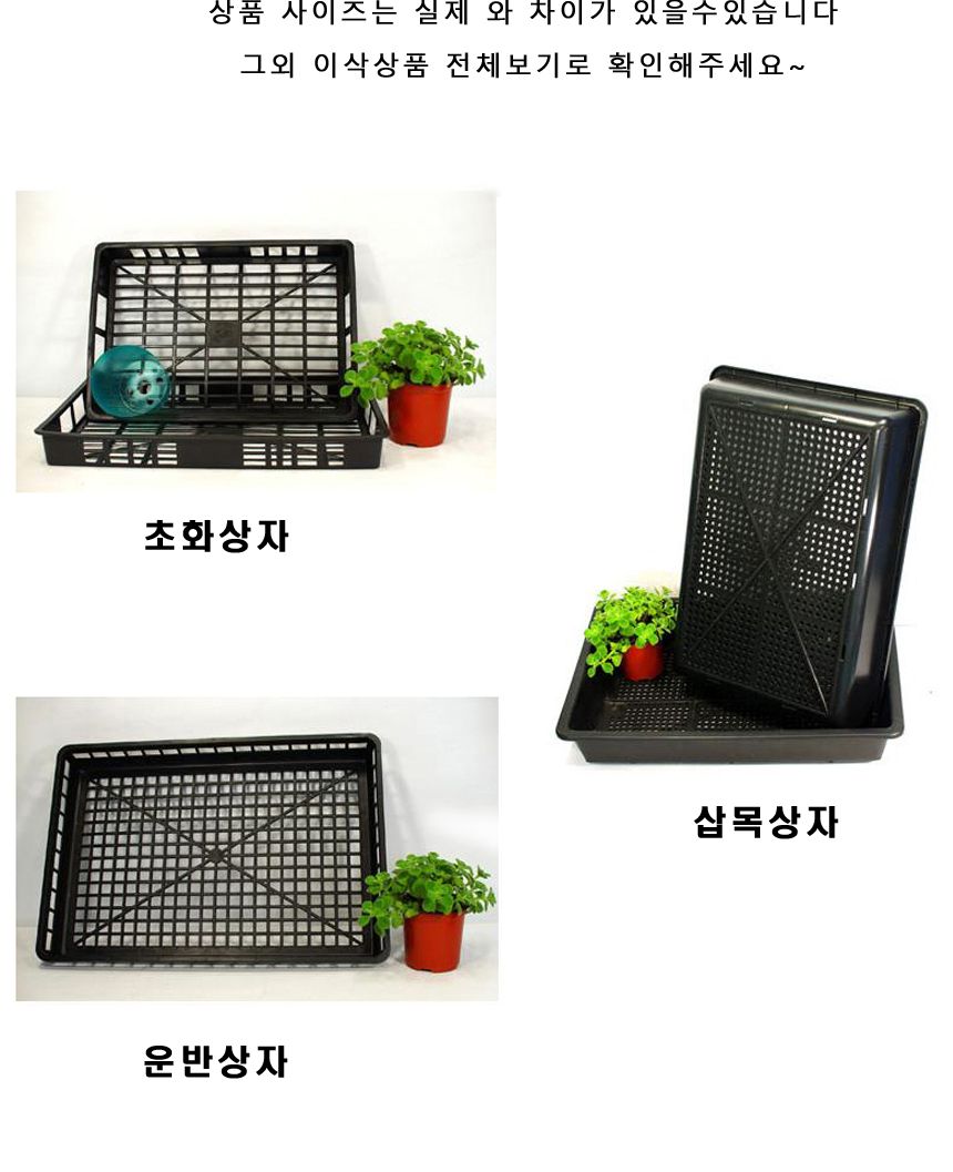 이삭 구멍 없는 삽목 상자/삽목상자/구멍없는삽목상자/타공없는삽목상자/원예삽목상자/식물삽목상자/원예용