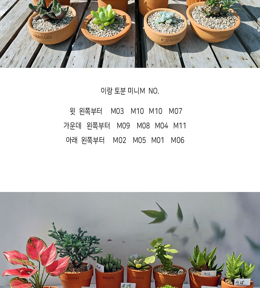 이랑 국내산 수제 토분 M15 다육 수공예 화분 통기/다육이토분/예쁜화분/원예용품/정원용품/분갈이화분/분