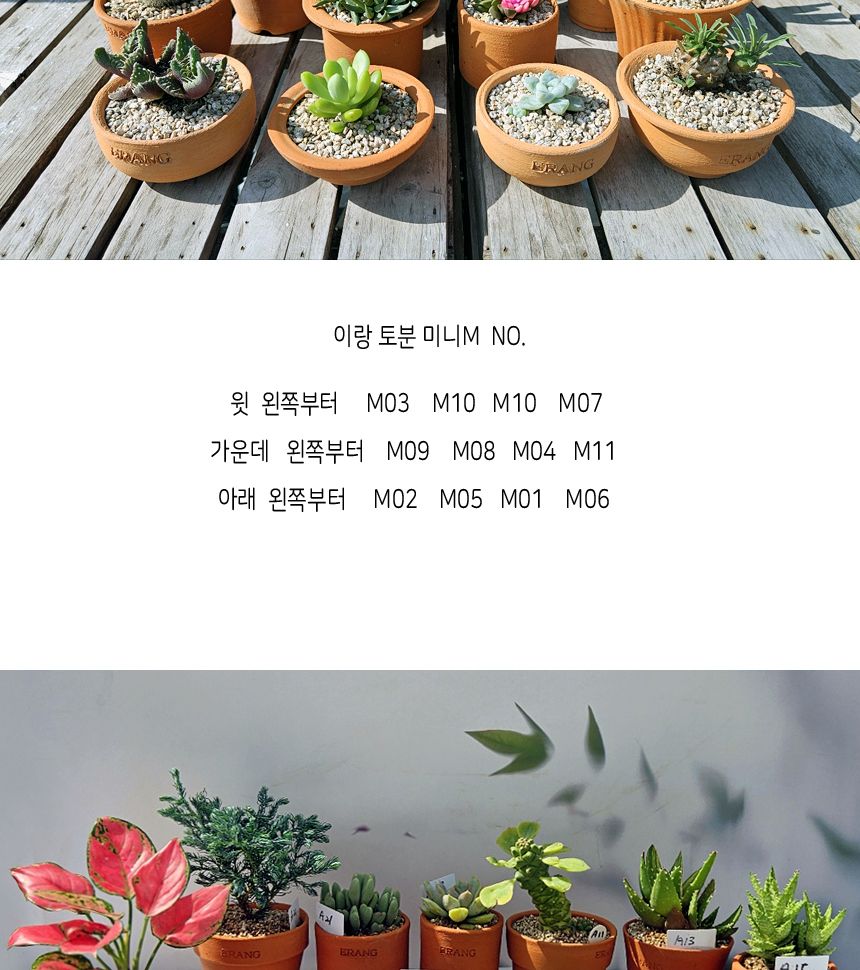 이랑 국내산 수제 토분 M14- 다육 수공예 화분 통기/옥상텃밭화분/다육분화분/토기형화분/미니화분/선인장