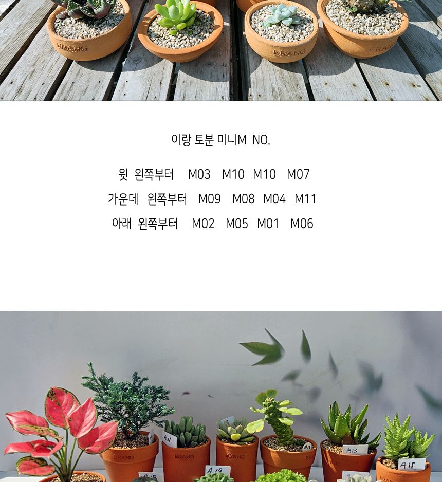 이랑 국내산 수제 토분 M13 다육 수공예 화분 통기/국내토분/미니토분/예쁜토분/다육이화분/원예용품/정원