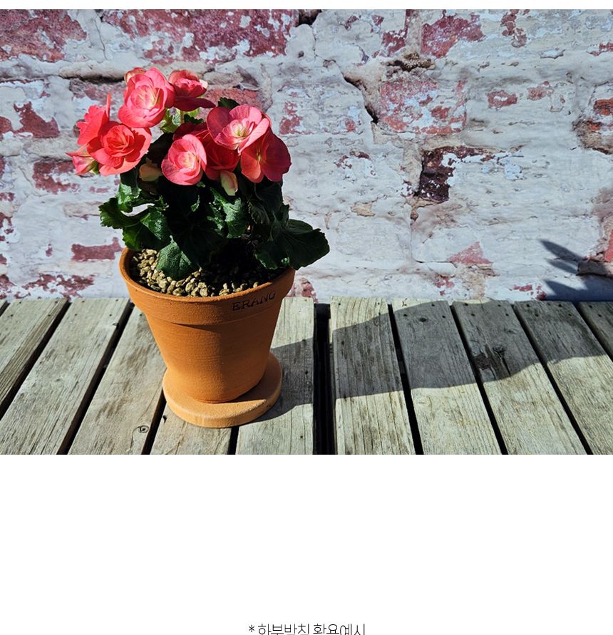 이랑 국내산 수제 B12토분과 토분받침세트 - 환경친화/화분/토분/빈티지화분/빈티지토분/식물화분/꽃화분/