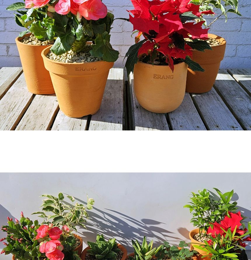 이랑 국내산 수제 B12토분과 토분받침세트 - 환경친화/화분/토분/빈티지화분/빈티지토분/식물화분/꽃화분/