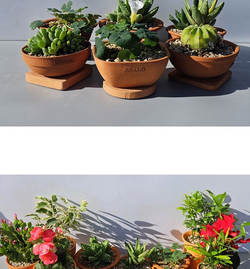 이랑 국내산 수제 B11토분과 토분받침세트 - 환경친화/화분/토분/빈티지화분/빈티지토분/식물화분/꽃화분/