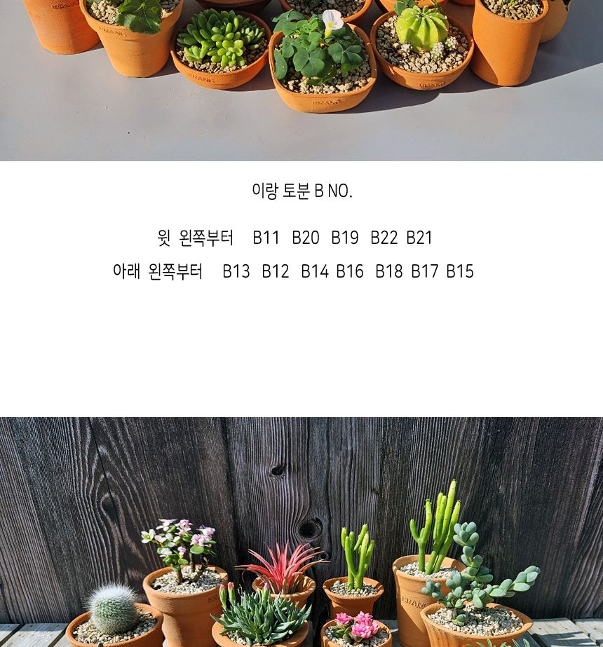 이랑 국내산 수제 B11토분과 토분받침세트 - 환경친화/화분/토분/빈티지화분/빈티지토분/식물화분/꽃화분/
