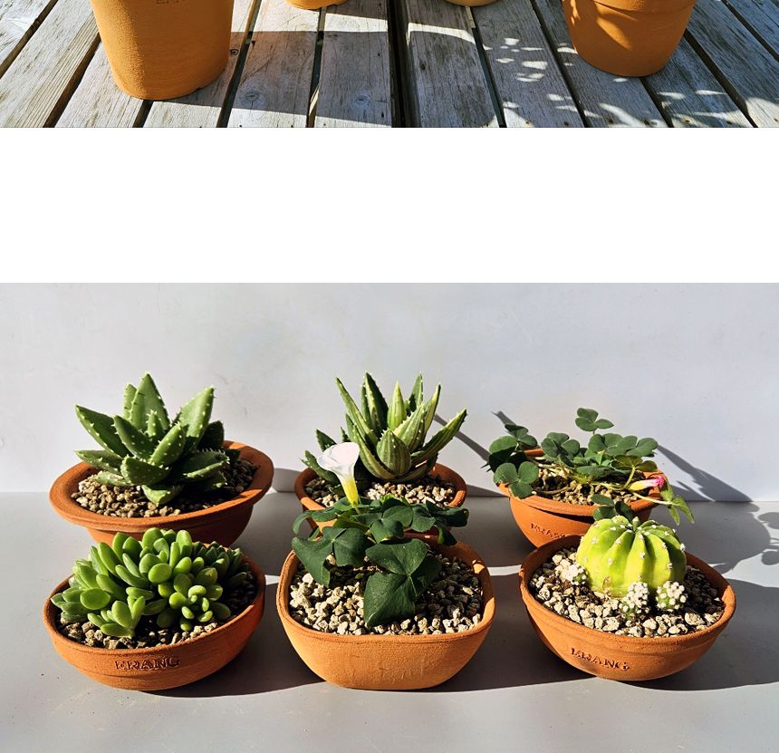 이랑국내산 수제 토분 B13- 수공예 공기정화식물화분/화분/토분/빈티지화분/빈티지토분/식물화분/꽃화분/모