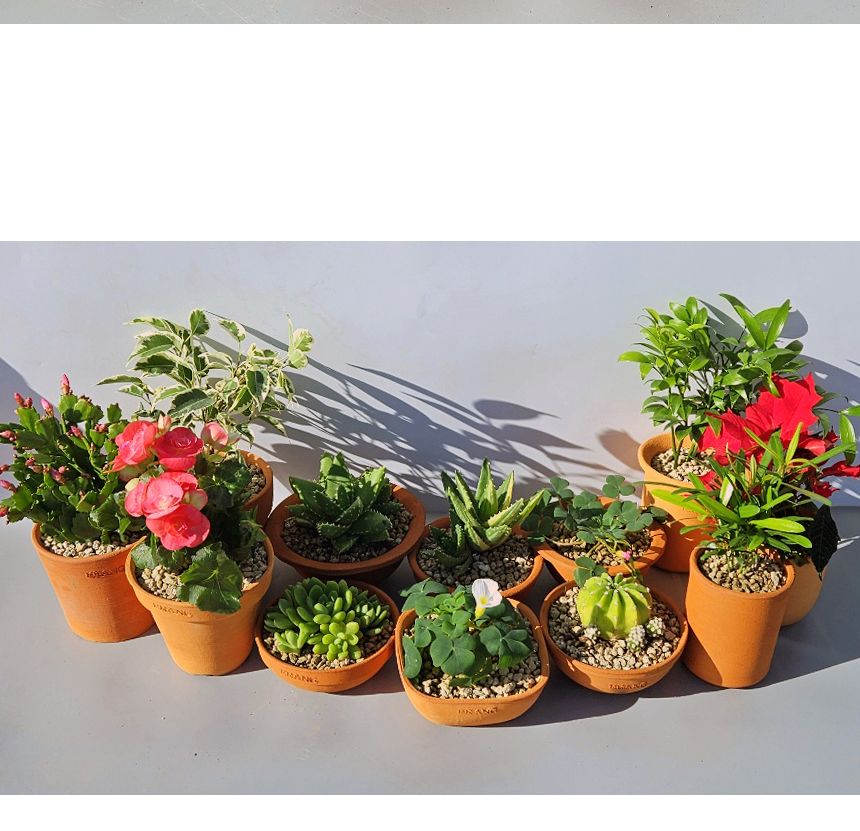 이랑국내산 수제 토분 B13- 수공예 공기정화식물화분/화분/토분/빈티지화분/빈티지토분/식물화분/꽃화분/모