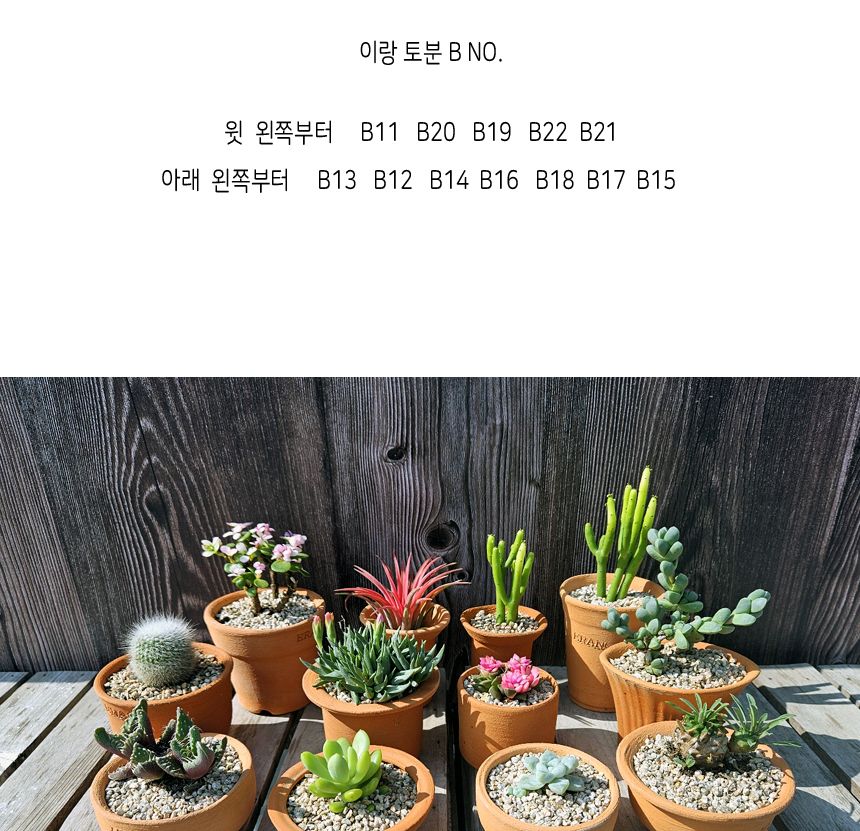 이랑국내산 수제 토분 B13- 수공예 공기정화식물화분/화분/토분/빈티지화분/빈티지토분/식물화분/꽃화분/모