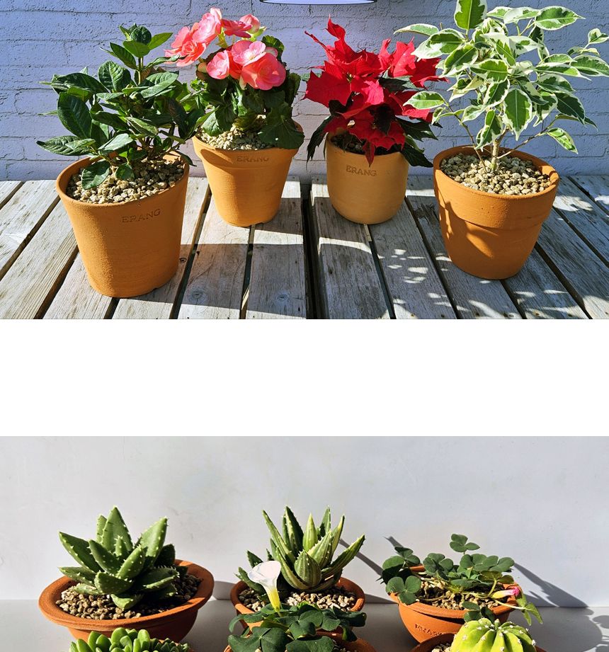 이랑국내산 수제 토분 B12- 수공예 공기정화식물화분/화분/토분/빈티지화분/빈티지토분/식물화분/꽃화분/모