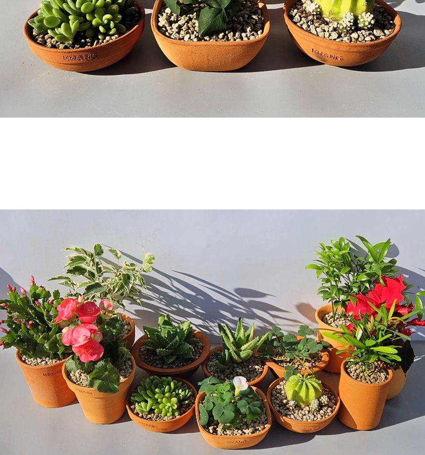 이랑국내산 수제 토분 B12- 수공예 공기정화식물화분/화분/토분/빈티지화분/빈티지토분/식물화분/꽃화분/모