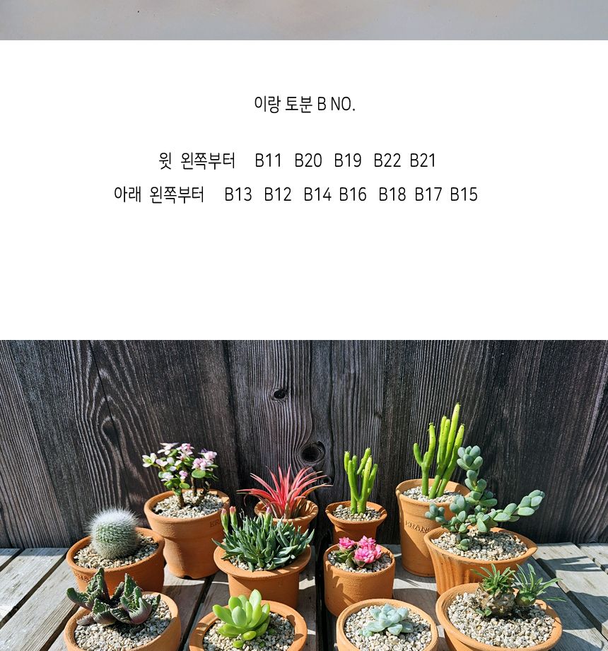 이랑국내산 수제 토분 B12- 수공예 공기정화식물화분/화분/토분/빈티지화분/빈티지토분/식물화분/꽃화분/모
